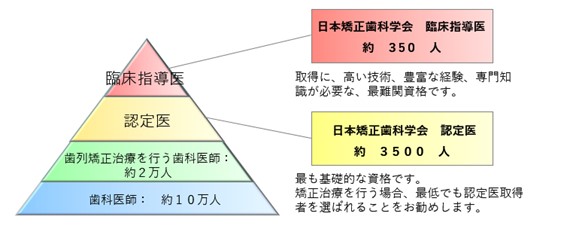 日本矯正歯科学会　臨床指導医・認定医の割合